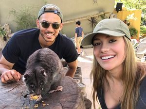 Image post by @teamcjcorrea on Instagram