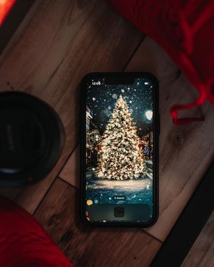 Image post by @tielerfriedline on Instagram