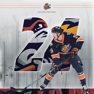 Image post by @swamprabbits on Instagram