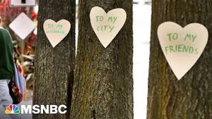 Video post by @msnbc on YouTube