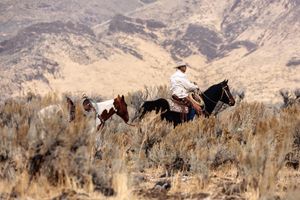Image post by @schaeferoutfitter on Instagram