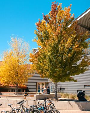 Image post by @nauflagstaff on Instagram