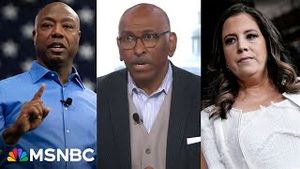 Video post by @msnbc on YouTube