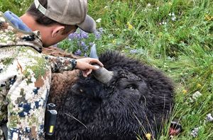Image post by @meateater on Instagram