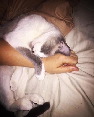 Image post by @shipphappens__ on Instagram