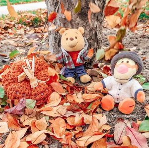 Image post by @winniethepoohshow on Instagram