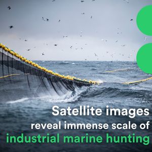 Image post by @rewild on Instagram