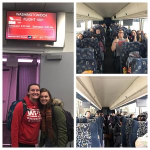 Image post by @wpiswimdive on Instagram