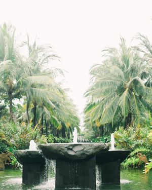Image post by @eventsbyroam on Instagram