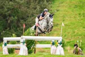 Image post by @NZHorseAmbulanceTrust on Facebook