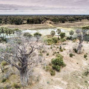 Image post by @chiawasafaris on Instagram