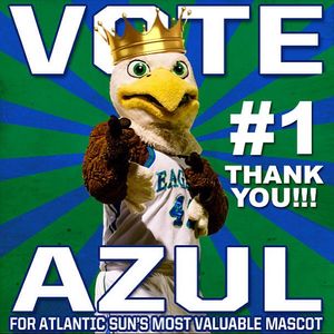 Image post by @fgcuathletics on Instagram