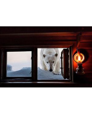 Image post by @jeremiahfraites on Instagram