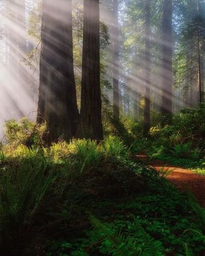 Image post by @nationalparkscollective on Instagram