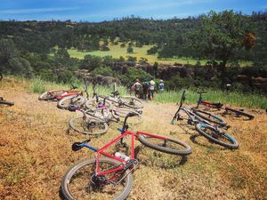 Image post by @bikerumor on Instagram