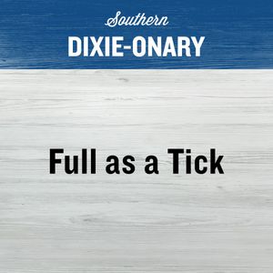 Image post by @dixievodka on Instagram