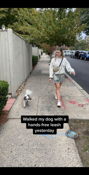 Image post by @fablepets on TikTok
