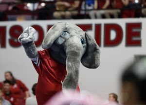 Image post by @bamagymnastics on Instagram