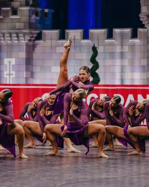 Image post by @lsutigergirls on Instagram