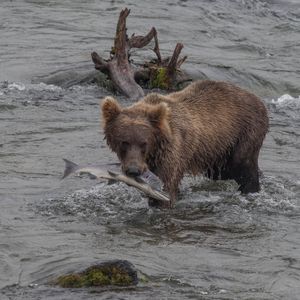 Image post by @nationalparktrust on Instagram