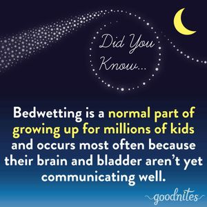 Image post by @goodnites on Instagram