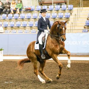 Image post by @performancesaddlefitssthsydney on Instagram