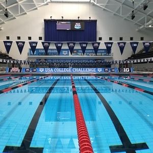 Image post by @arenausa on Instagram