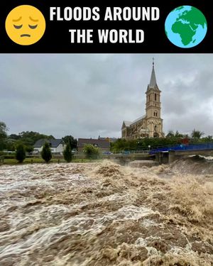 Image post by @greenpeace on Instagram