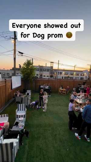 Video post by @LiveLikeRoo on Facebook