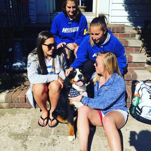 Image post by @hofstra_wlax on Instagram