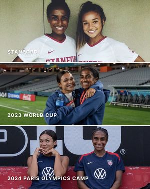 Image post by @IONNWSL on Twitter/X