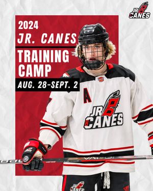 Image post by @USPHLjrcanes on Twitter/X