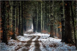 Image post by @fotodioxpro on Instagram