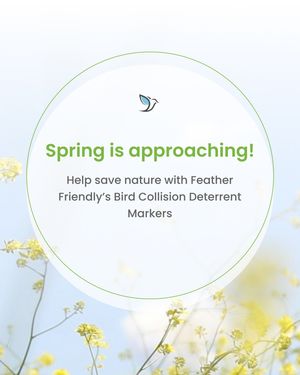 Image post by @featherfriendly on Instagram