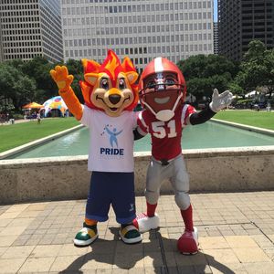 Image post by @housuperbowl on Instagram