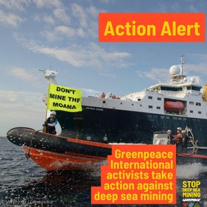 Image post by @greenpeaceusa on Instagram