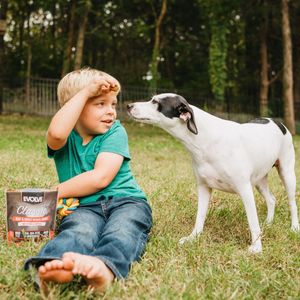 Image post by @evolvepetfood on Instagram