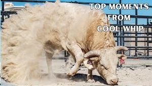 Video post by @pbr on YouTube