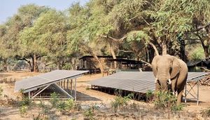 Image post by @chiawasafaris on Instagram