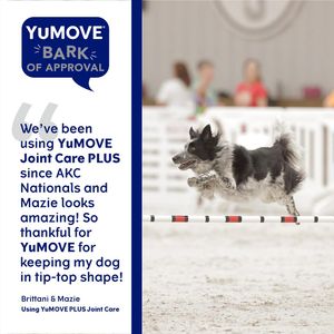 Image post by @yumove_usa on Instagram
