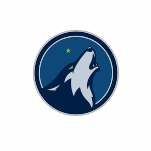 Image post by @ctwolveslax on Instagram