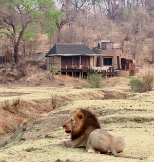 Image post by @chiawasafaris on Instagram