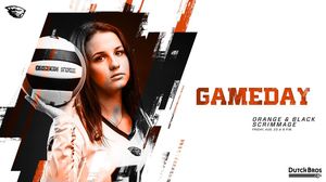 Image post by @beavervball on Instagram