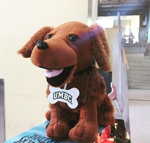 Image post by @umbclife on Instagram