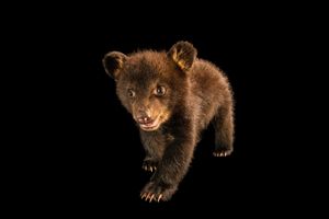 Image post by @natgeo on Instagram
