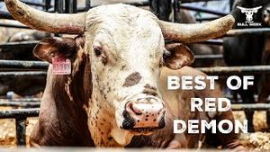 Video post by @pbr on YouTube