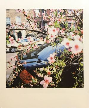Image post by @mediabyisa on Instagram