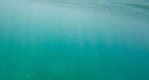 Image post by @olukai on Instagram