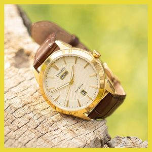 Image post by @citizenwatchus on Instagram
