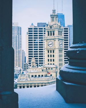 Image post by @willtrogdon on Instagram